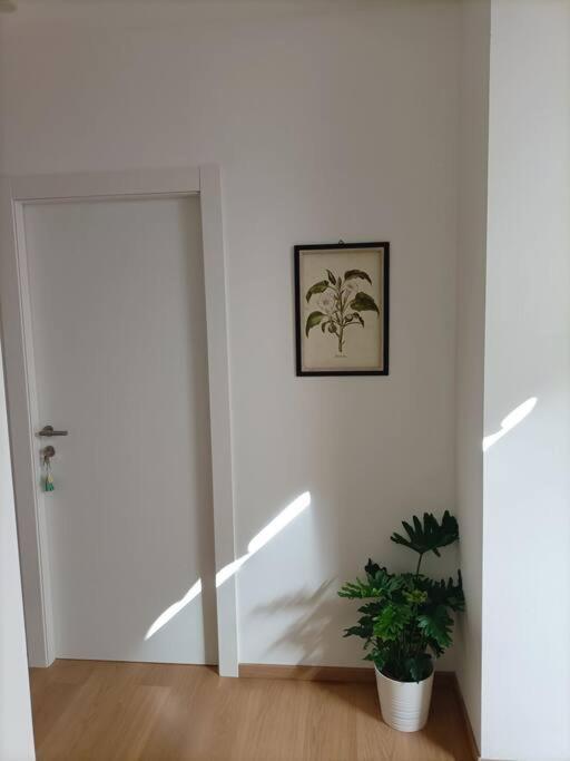 Loving My Rooms 1 - Deliziosa Mansarda In Centro ゴリツィア エクステリア 写真